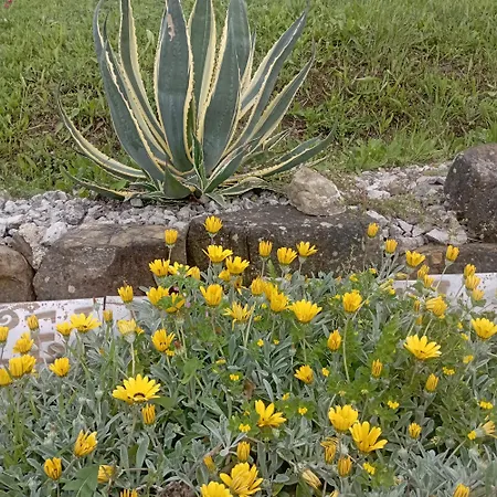 Stella Del Cilento Raggio Di Sole Агрополи