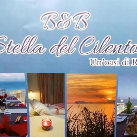 Stella Del Cilento Raggio Di Sole