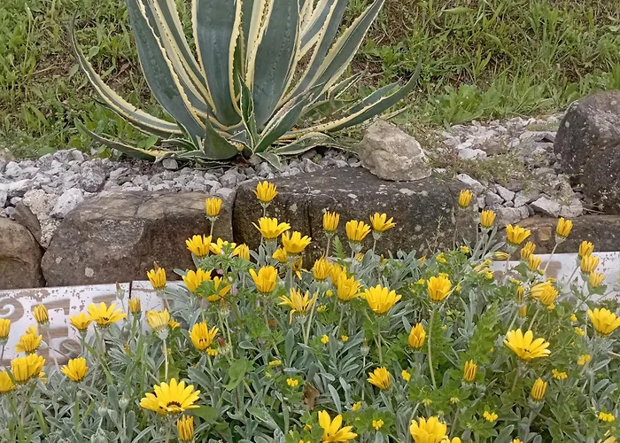 Stella Del Cilento Raggio Di Sole Agropoli